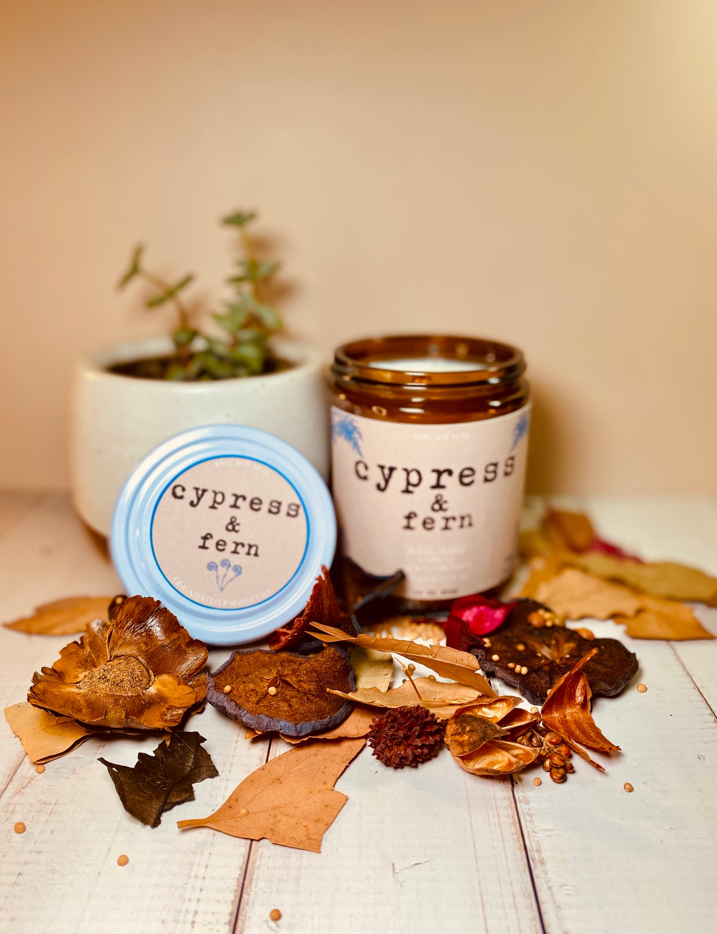 Cypress & Fern