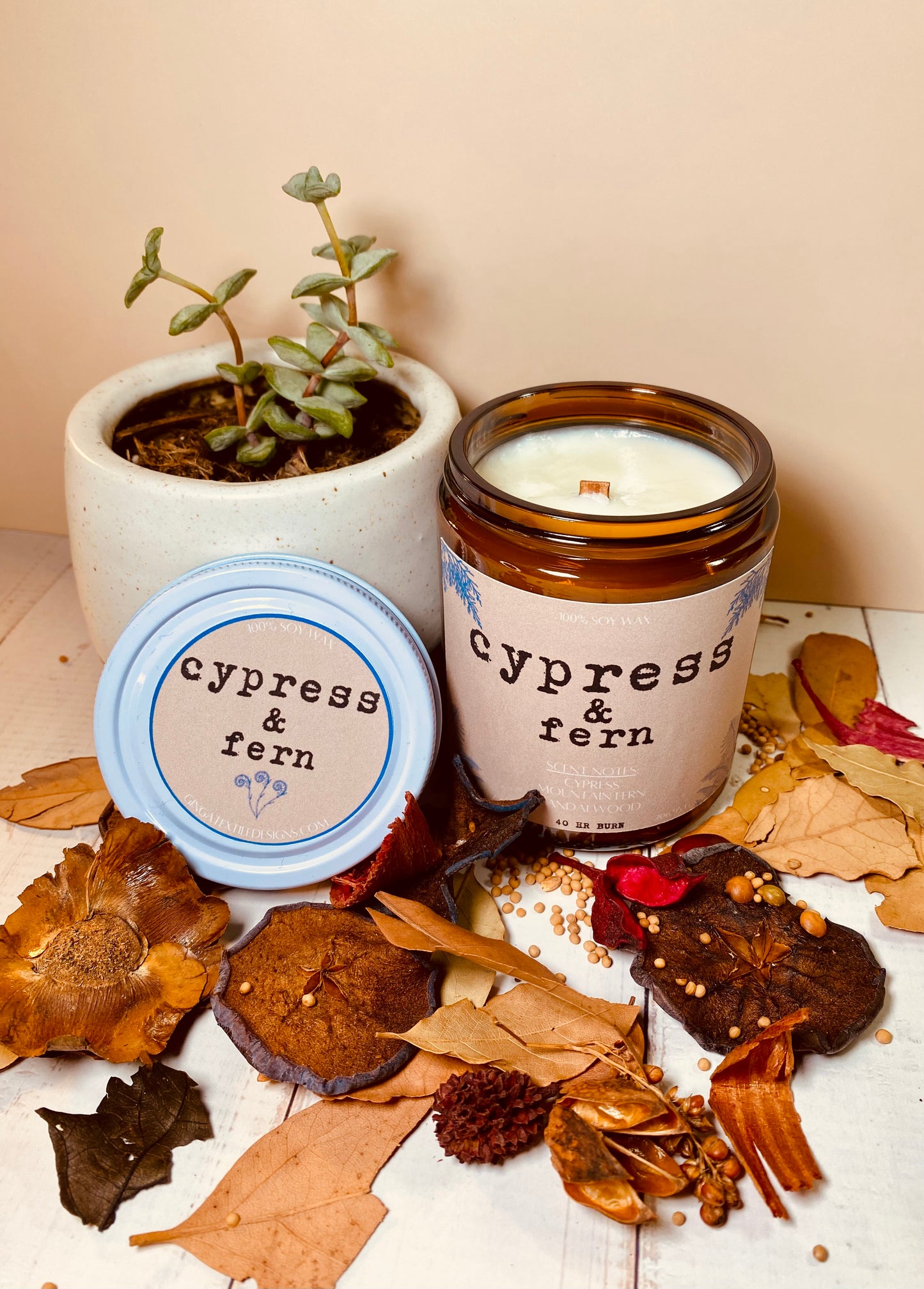 Cypress & Fern