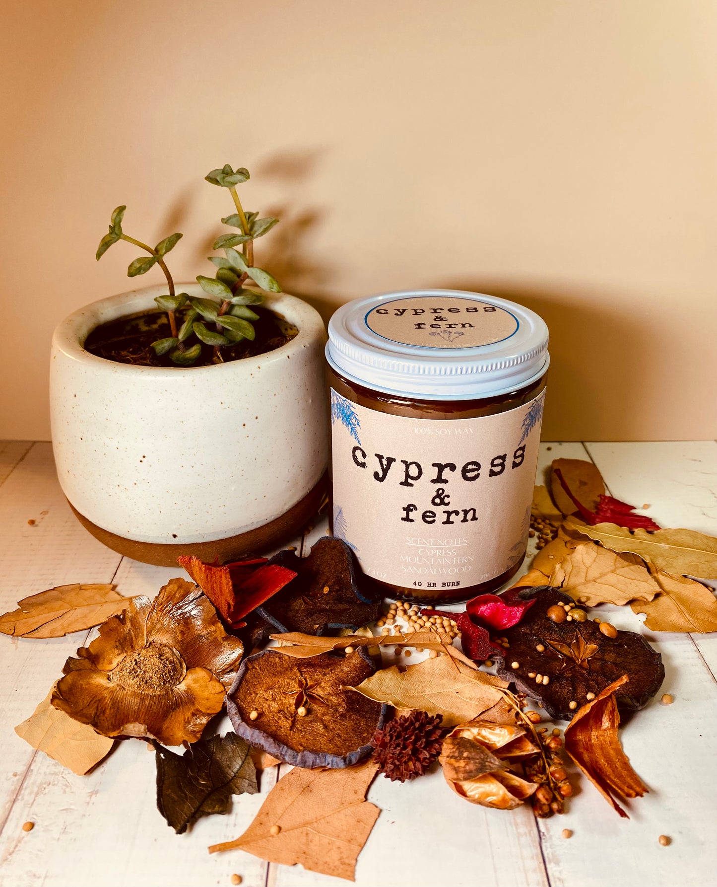 Cypress & Fern