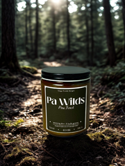 Pa Wilds Pine Forest
